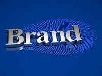 importance of company branding, Halo Programs