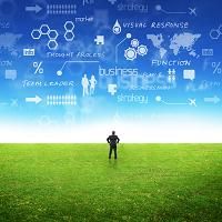 marketing strategy campaign, Halo Programs